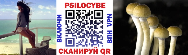 купить Алзамай Галлюциногенные грибы мицелий