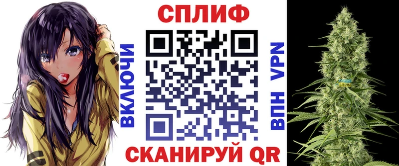 Бошки Шишки сатива  Алзамай 